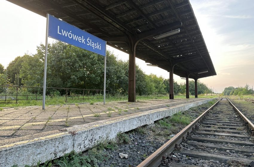 Blisko 20 tysięcy drzew do wycinki. Rewitalizacja linii kolejowej Jelenia Góra - Lwówek Śląski nabiera tempa
